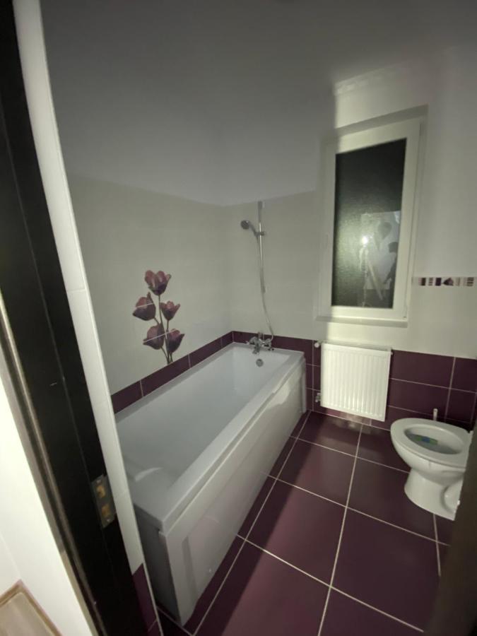 Luxury Apartment Satu Mare Eksteriør billede