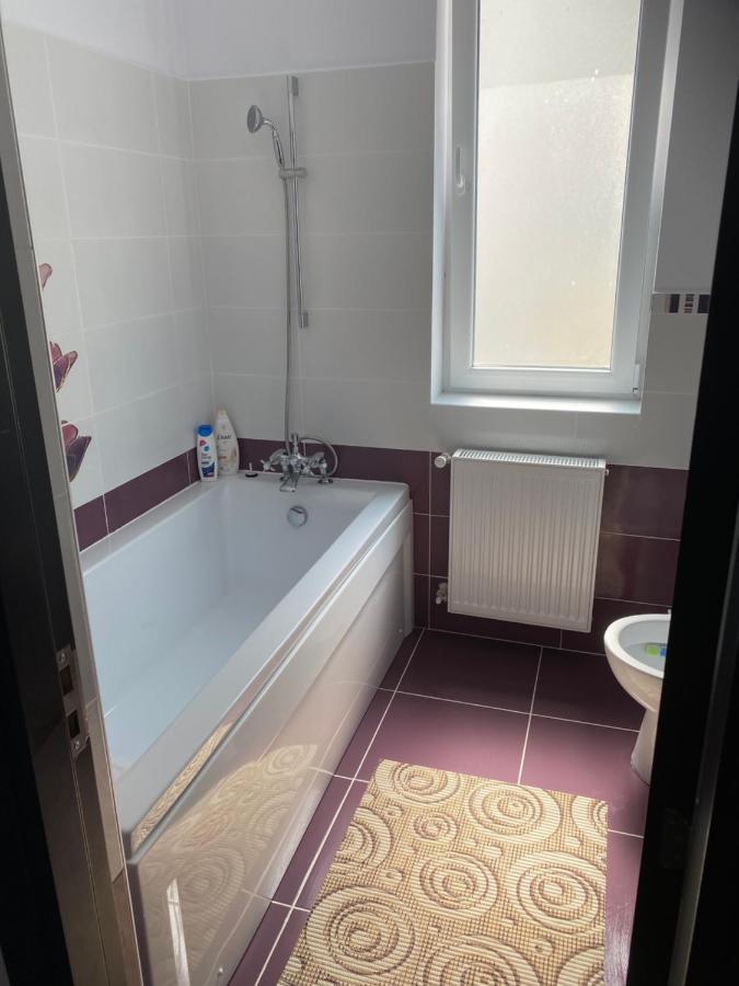 Luxury Apartment Satu Mare Eksteriør billede