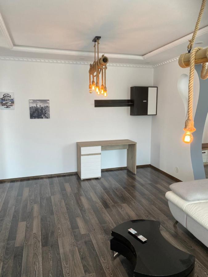 Luxury Apartment Satu Mare Eksteriør billede