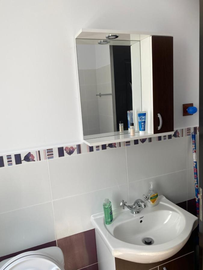 Luxury Apartment Satu Mare Eksteriør billede